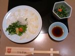 fugu.jpg